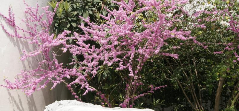 杭州国泰外语艺术学校初中部怎么样、好不好