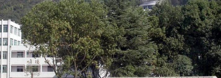 富阳第二中学中加国际班2023年招生计划