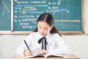 北京乐成国际学校