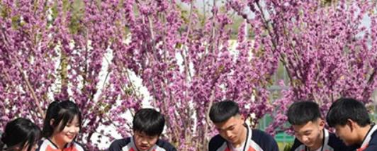 聊城市东昌府区中等职业教育学校