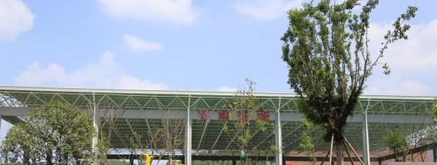 遂宁东辰荣兴国际学校初中部2020年招生简章