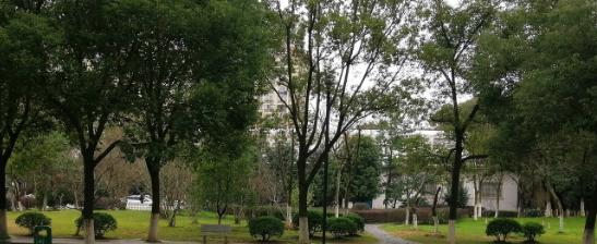 江西工程职业学院地址在哪里