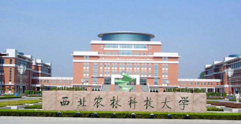 西北农林科技大学是几本？是985和211吗？