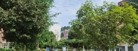 蒲江县技工学校