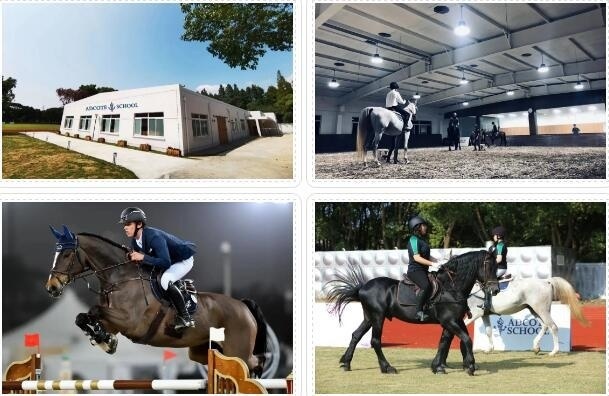 马术博雅课程.jpg