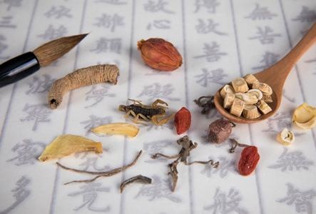 新东方在线中医班配图