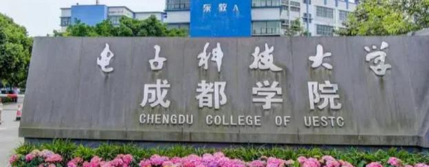 电子科技大学成都学院学校代码是13665(学校代码)