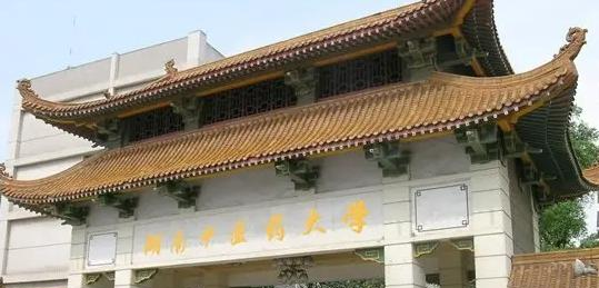 2023湖南中医药大学湘杏学院国内排名第几(全国第237名）