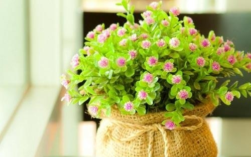 软件的设计说明书怎么写