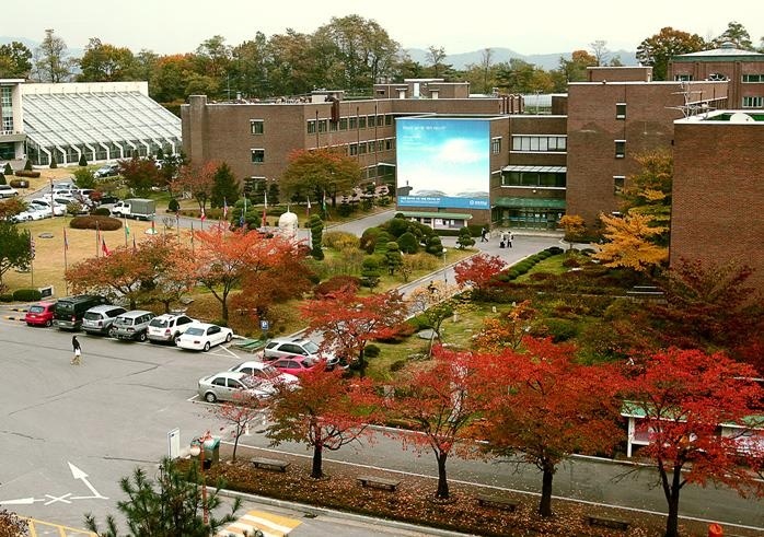 三育大学