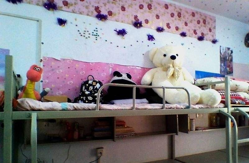 成都文化艺术学校