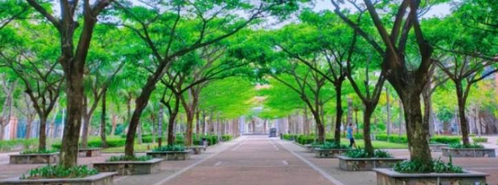 北京师范大学万宁附属中学2023年地址在哪里 