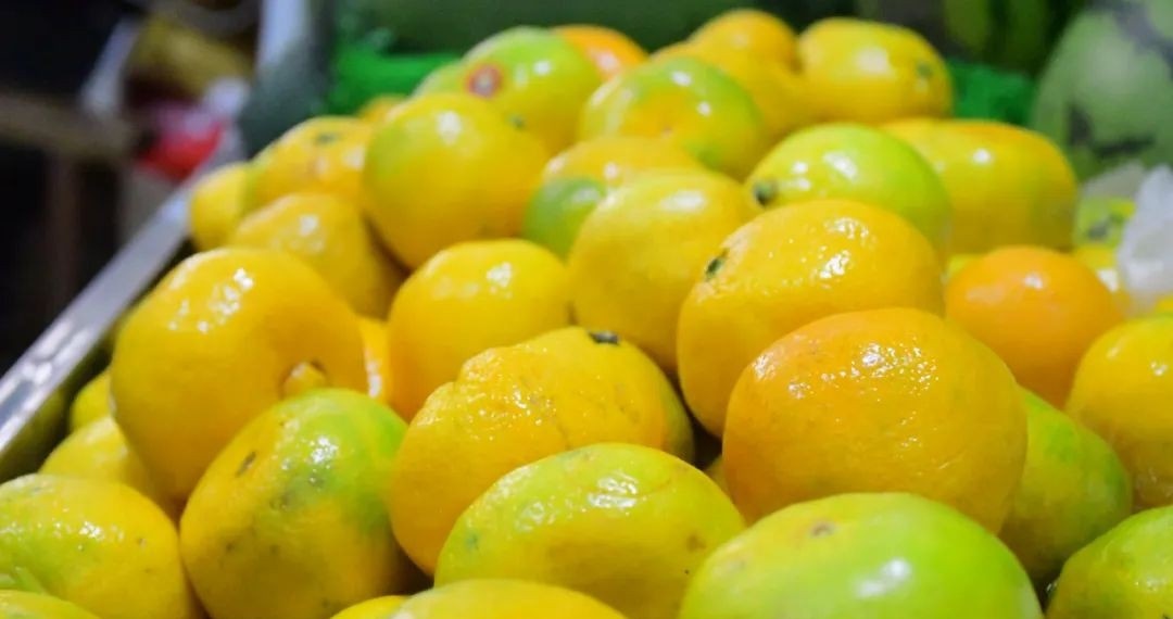 石家庄军兴信息工程学校