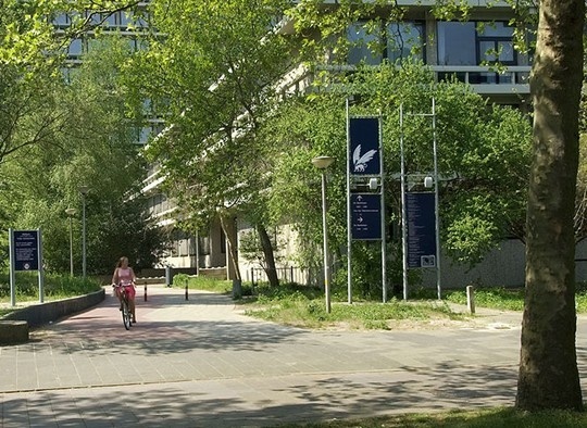 阿姆斯特丹自由大学