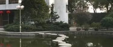 保险职业学院是不是全日制大专院校?