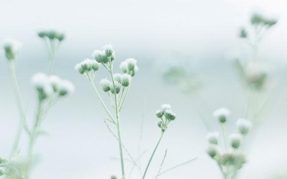 商务英语中需要注意的语句