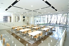 新潟青陵大学