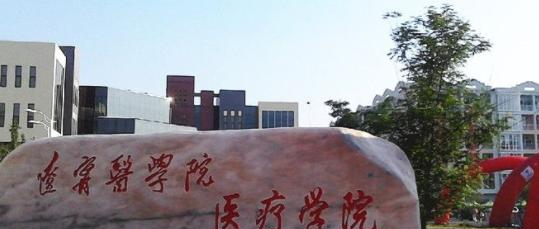 锦州医科大学医疗学院是不是双大学？