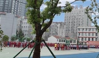 连云港外国语学校
