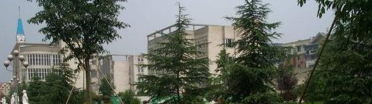 截图20181130144019