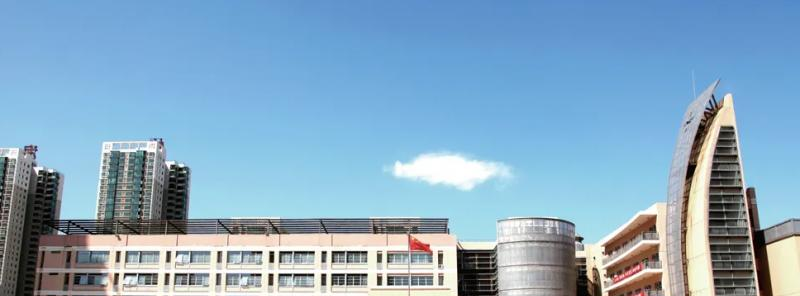 北京第八中学怡海分校国际部2023年课程体系