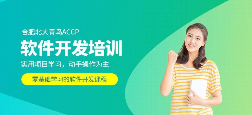 合肥软件开发培训