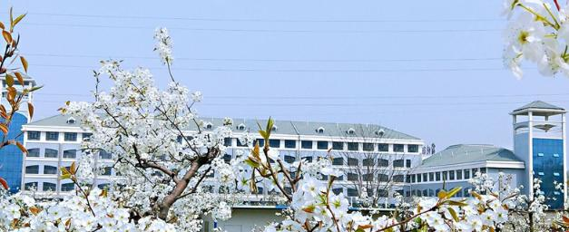 宿州职业技术学院2021年招生简章