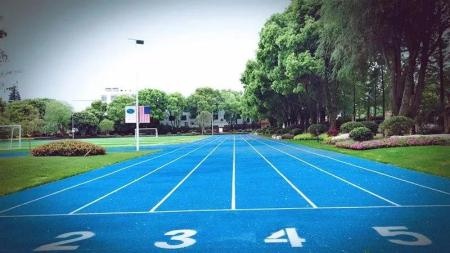 美华学校美国威睿达思国际课程中心6.jpg