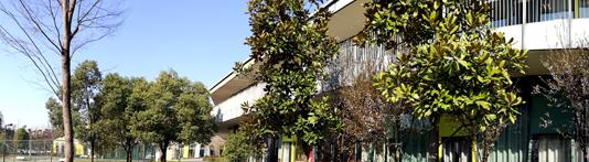 杭州育澜剑桥国际中心2020年招生简章