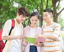 专业辅导