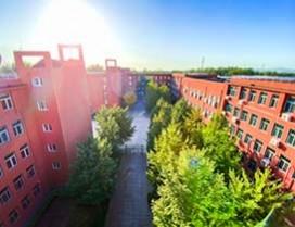 北京市新府学外国语学校