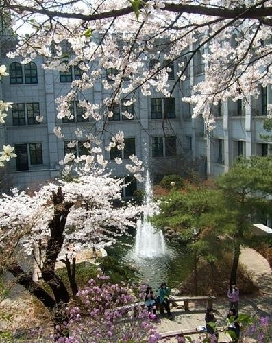同德女子大学