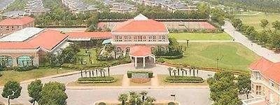 上海常青藤学校2022年课程体系