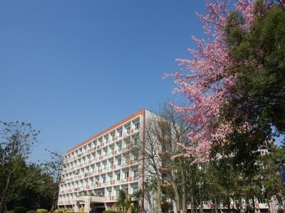 广东金融学院
