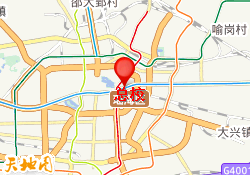 总校
