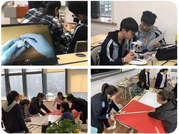 筹备科学展.jpg