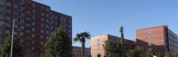 淮阳职业中等专业学校