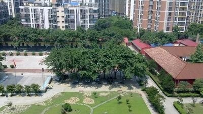 四川现代艺术学校网站
