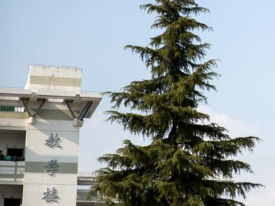 南京师范大学附属实验学校“南京汇点高中”项目