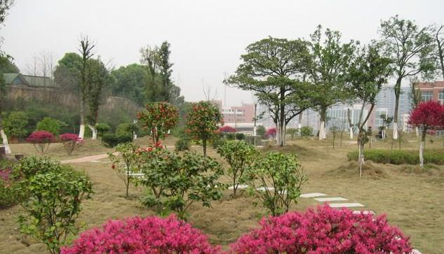 截图20200330134813