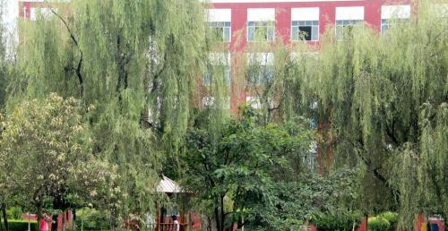 四川托普信息技术职业学院2020年报名条件、招生要求、招生对象