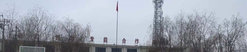 定西陇中护理学校2022年招生录取分数线