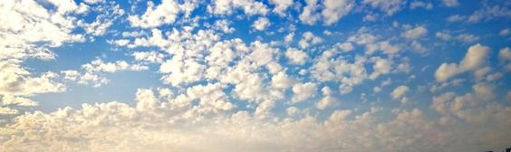 江苏奔牛高级中学2021年招生代码