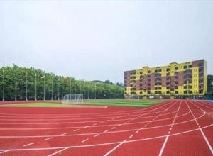 运动场