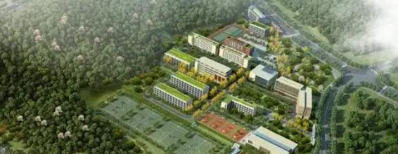 临武县职业中专