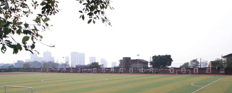 截图_20211116125530