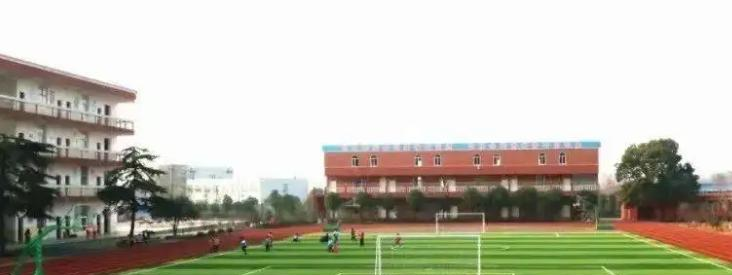 武汉为明国际学校初中部2023年录取分数线2