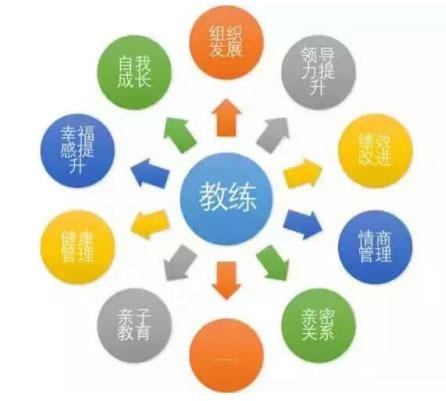 教练技术课程配图
