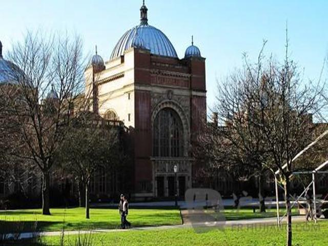 校园风采（五）