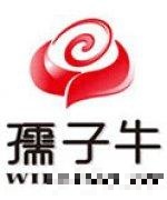 造价工程师